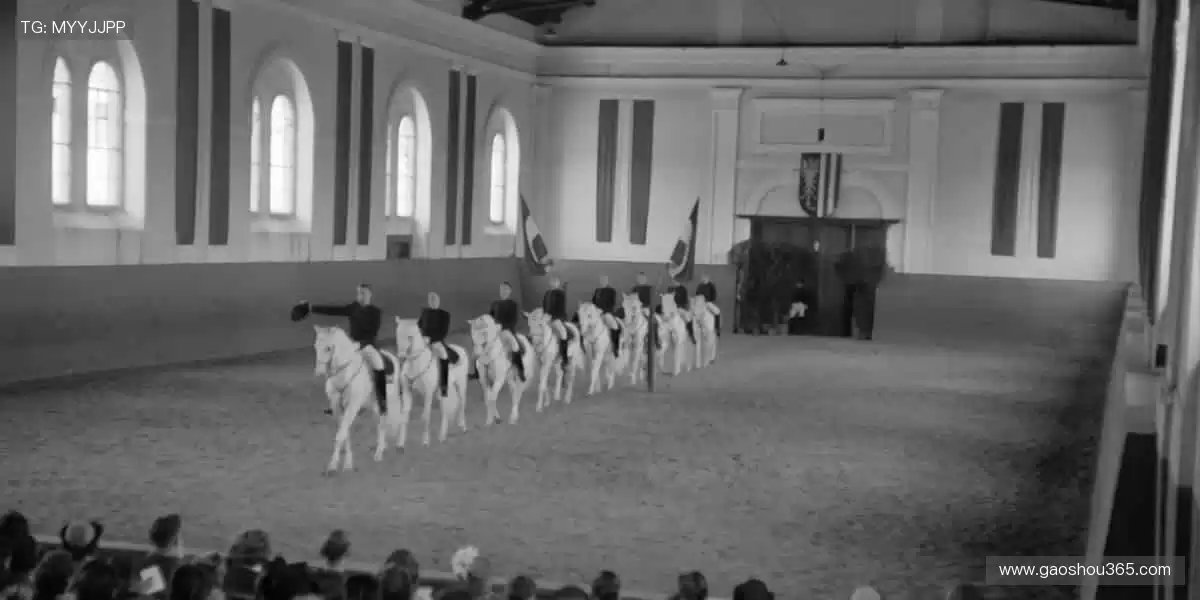 🚀一键直击，精彩永不缺席！🏉